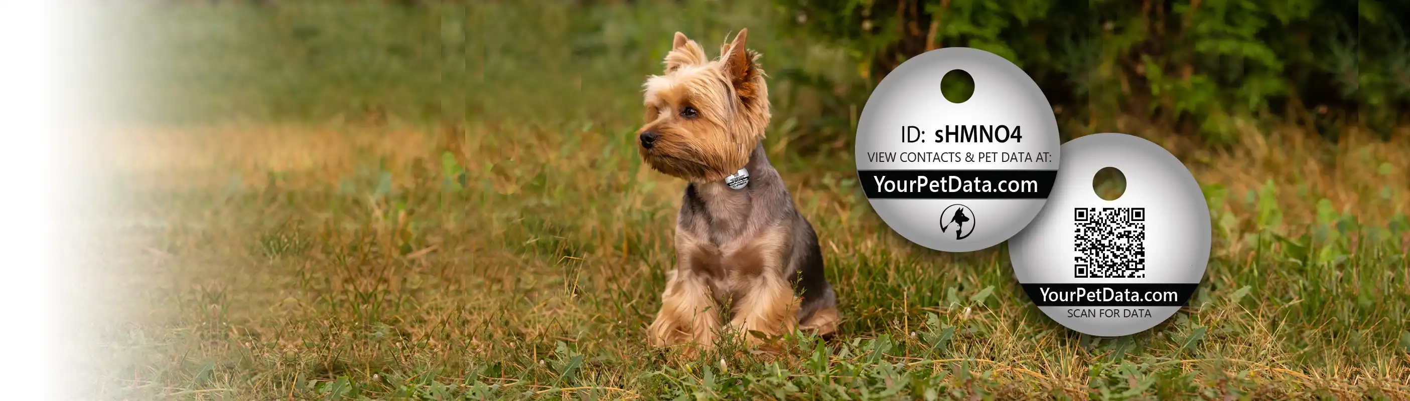 Dog and Cat Lost and Found notices and printable flyers.